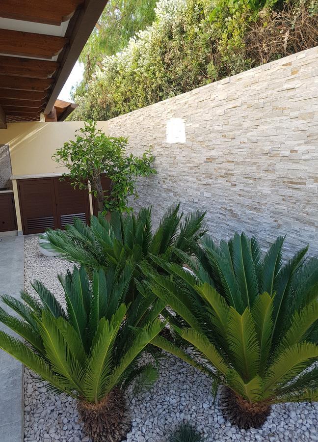 B&B Aloe Comfort Rooms San Vito Lo Capo Exteriér fotografie