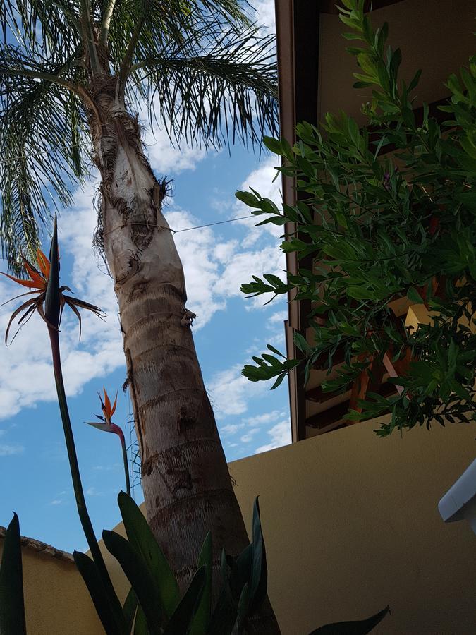 B&B Aloe Comfort Rooms San Vito Lo Capo Exteriér fotografie