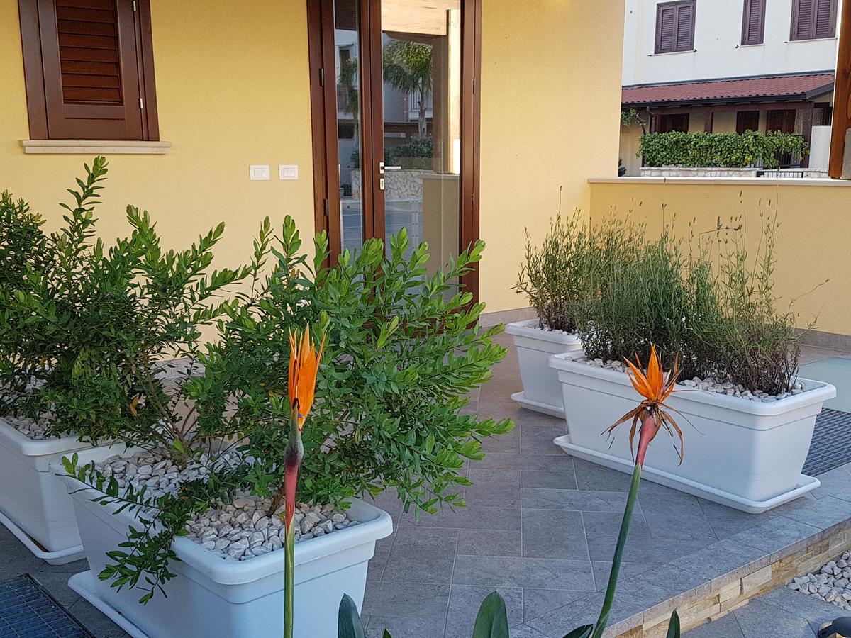 B&B Aloe Comfort Rooms San Vito Lo Capo Exteriér fotografie