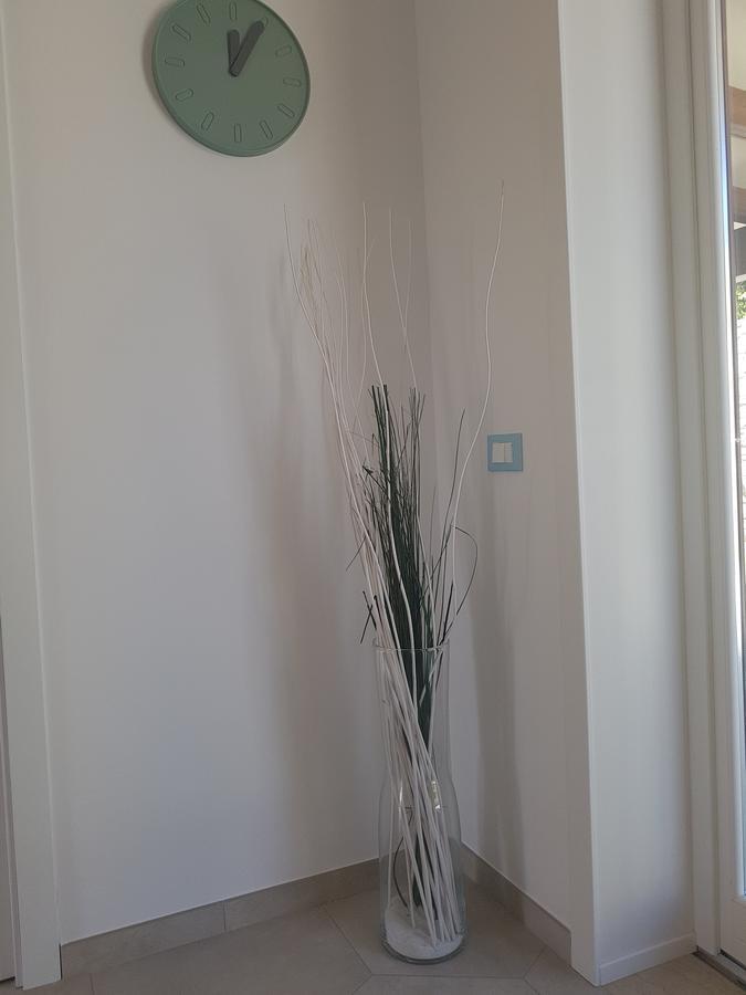 B&B Aloe Comfort Rooms San Vito Lo Capo Exteriér fotografie